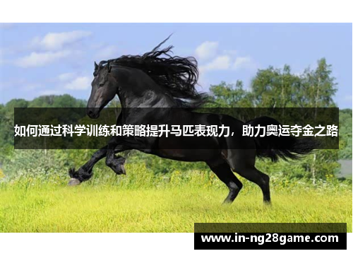 如何通过科学训练和策略提升马匹表现力，助力奥运夺金之路